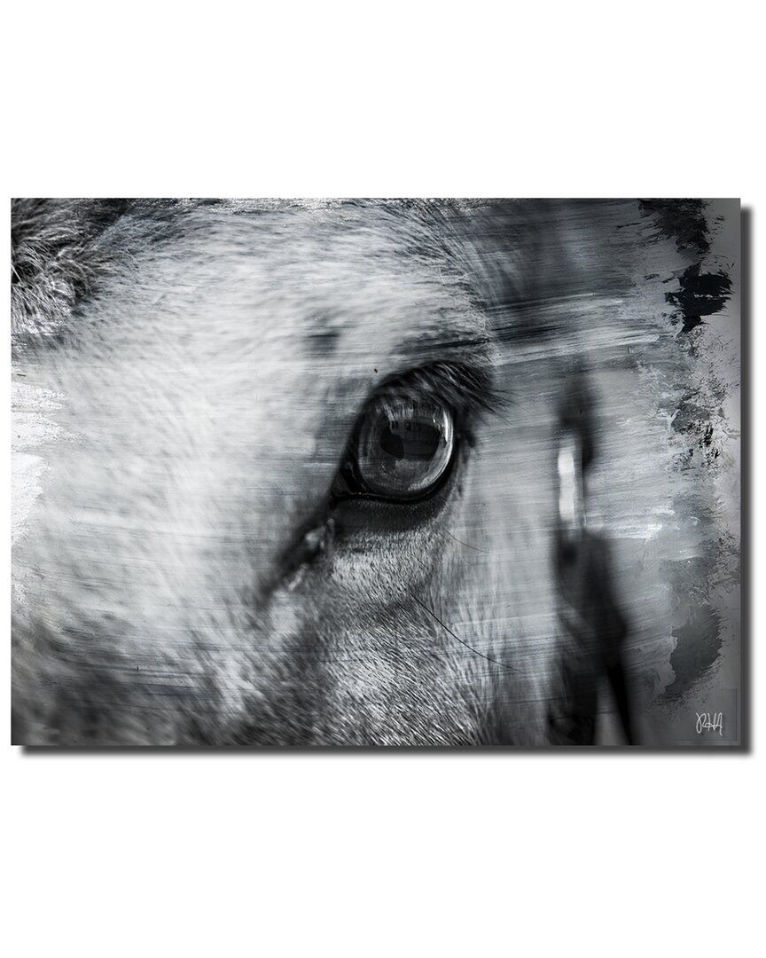 Ready2hangart Equestrian Saddle Ink Psxii Canvas Wall Art